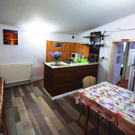 Hostel Pascalis Alesd المظهر الخارجي الصورة