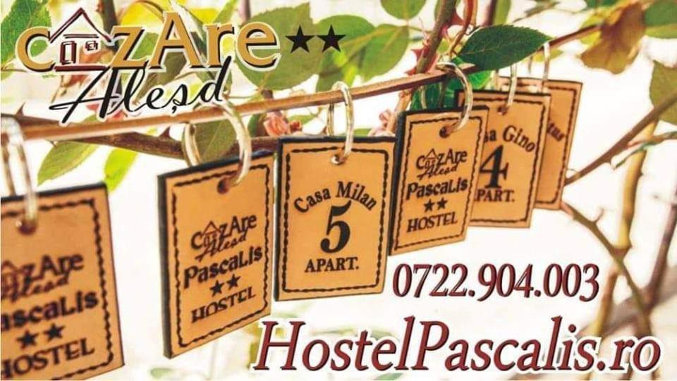 Hostel Pascalis Alesd المظهر الخارجي الصورة