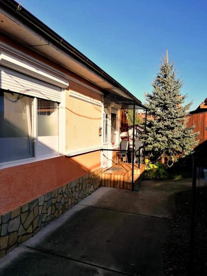 Hostel Pascalis Alesd المظهر الخارجي الصورة