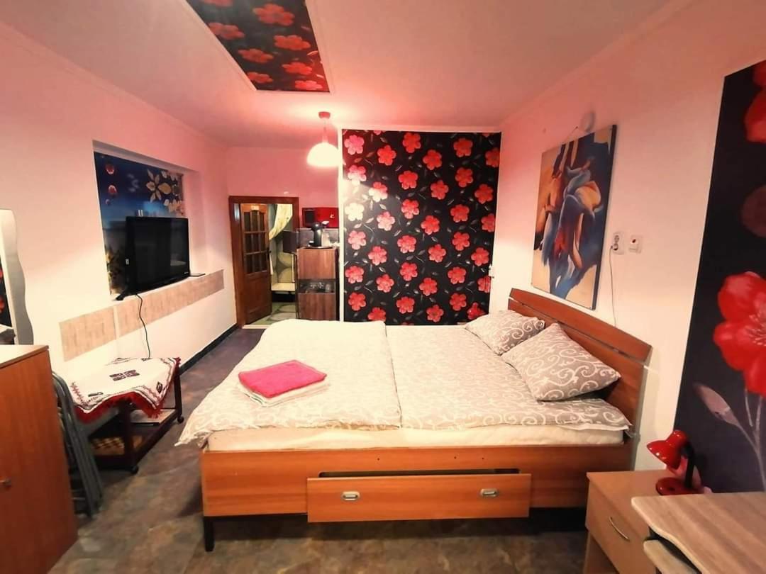 Hostel Pascalis Alesd الغرفة الصورة