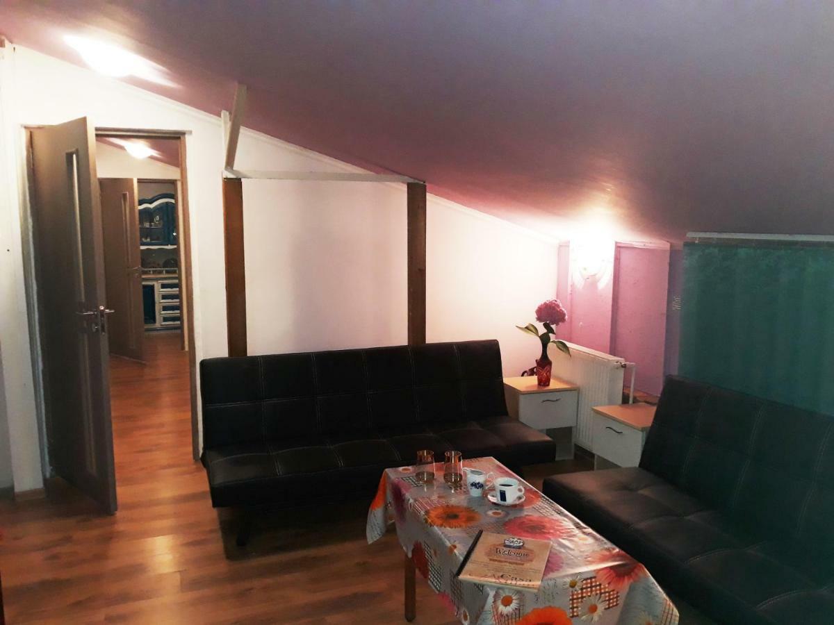 Hostel Pascalis Alesd المظهر الخارجي الصورة